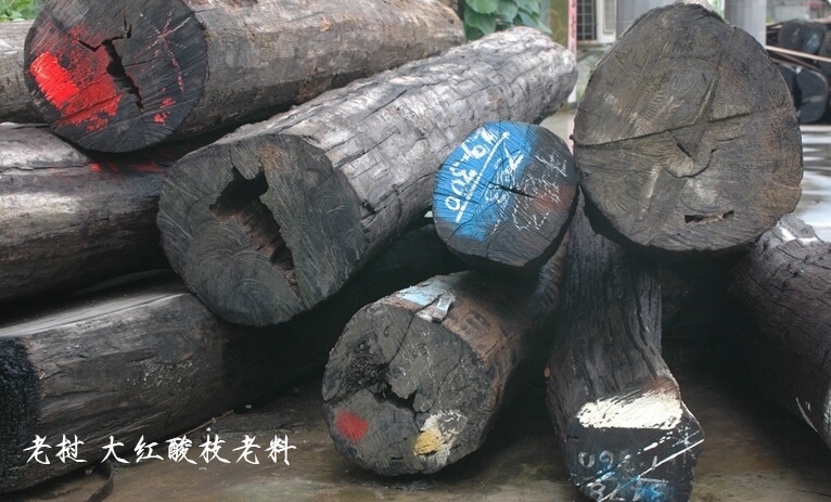 图片13.png