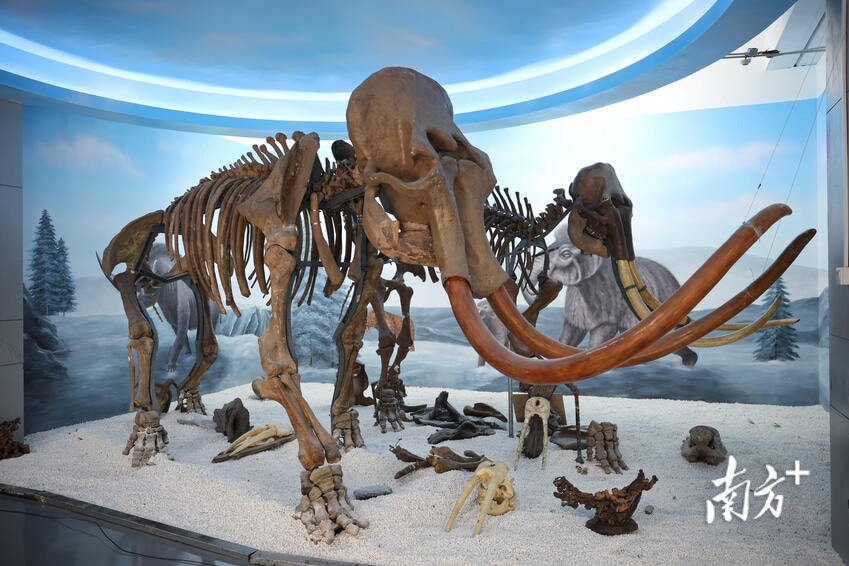 1763951857304447.jpg 微信图片_2025-10-13_103258_331.jpg